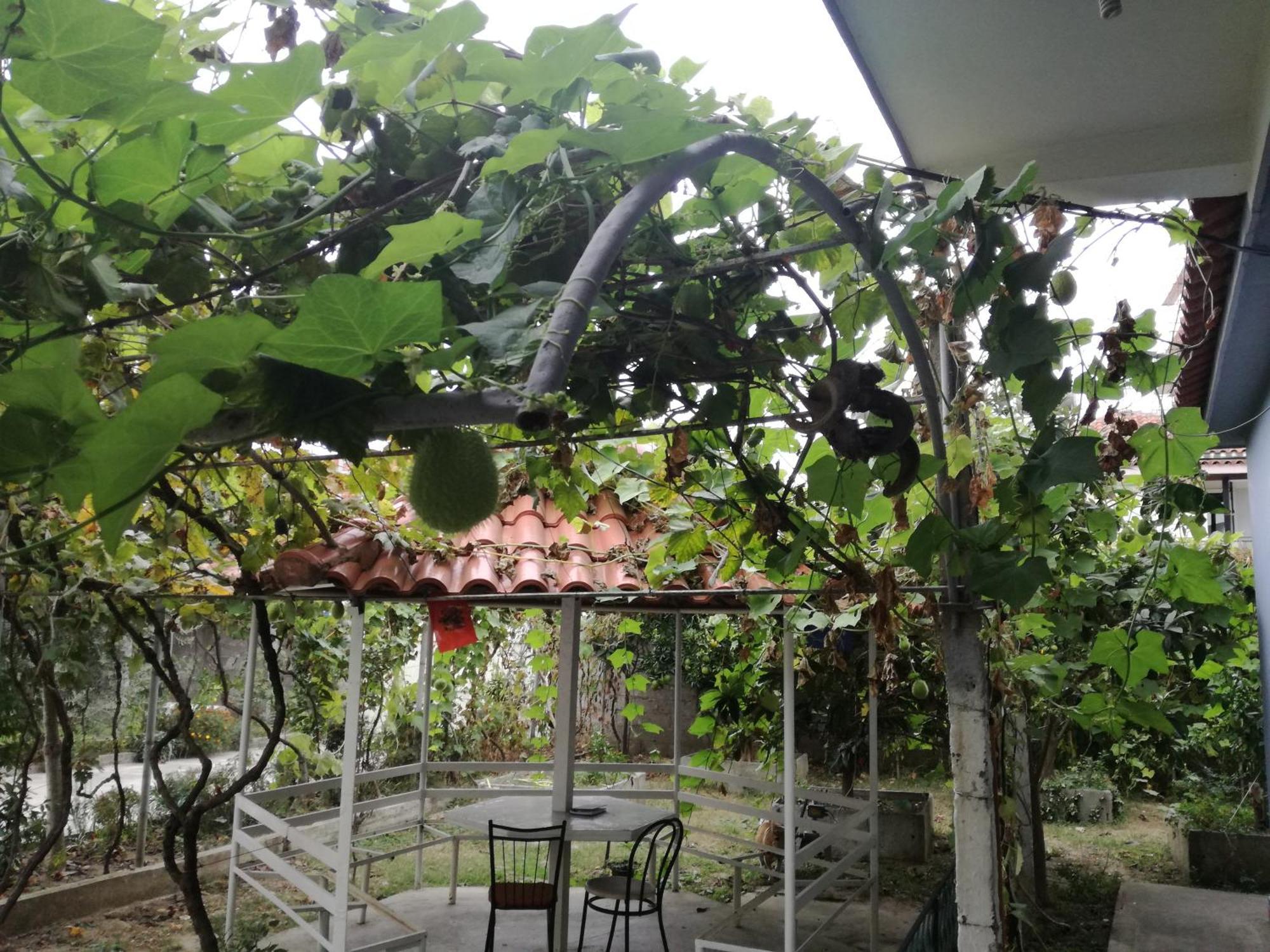 Villa Osmani Durrës Eksteriør billede